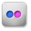 Flickr icon